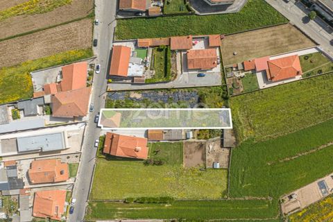 Tomt i Vila do Conde, Porto, Vila do Conde - € 188 000 | Ref: ZMPT586827 - foto 14