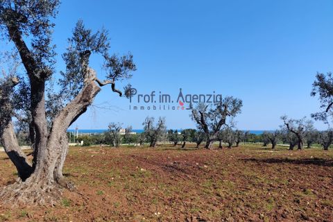 Helårsgrund i Carovigno, Brindisi, Carovigno - € 120.000 | Ref: 121673 - foto 7