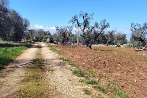 Helårsgrund i Carovigno, Brindisi, Carovigno - € 120.000 | Ref: 121673 - foto 10
