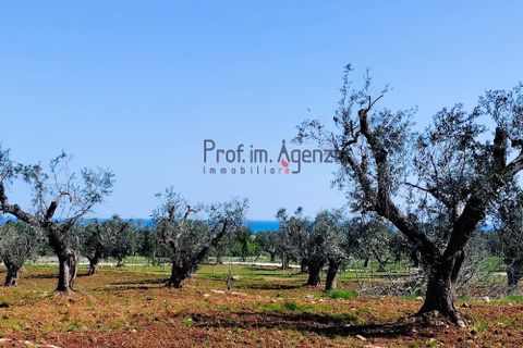 Helårsgrund i Carovigno, Brindisi, Carovigno - € 120.000 | Ref: 121673 - foto 1