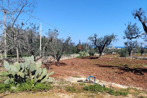 Helårsgrund i Carovigno, Brindisi, Carovigno - € 120.000 | Ref: 121673 - foto 12