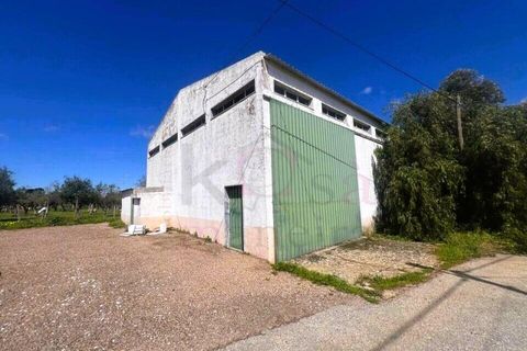 Villa a Borba, Evora, Borba - € 217.500 | Ref: HAB_476 - foto 9