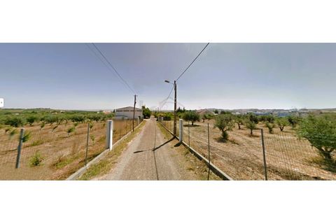 Villa a Borba, Evora, Borba - € 217.500 | Ref: HAB_476 - foto 10