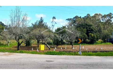 Terra em Arouca, Aveiro, Arouca - € 49.000 | Ref: CRAF1026 - foto 1