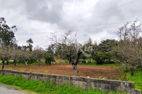 Terra em Arouca, Aveiro, Arouca - € 49.000 | Ref: CRAF1026 - foto 2