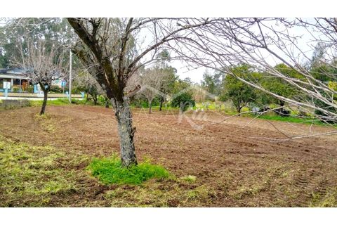 Terra em Arouca, Aveiro, Arouca - € 49.000 | Ref: CRAF1026 - foto 3