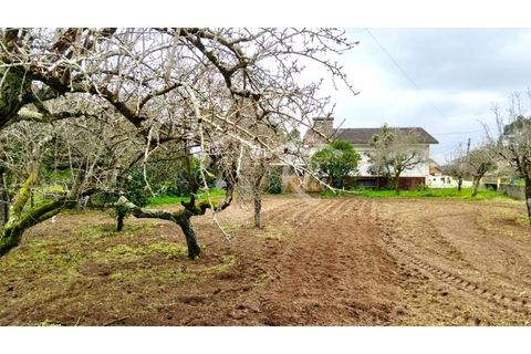 Terra em Arouca, Aveiro, Arouca - € 49.000 | Ref: CRAF1026 - foto 4