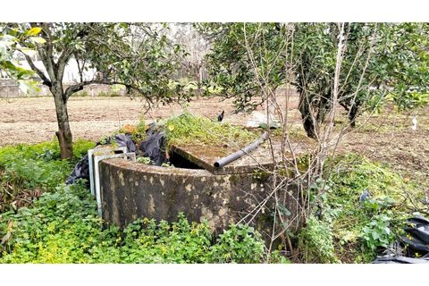 Terra em Arouca, Aveiro, Arouca - € 49.000 | Ref: CRAF1026 - foto 5
