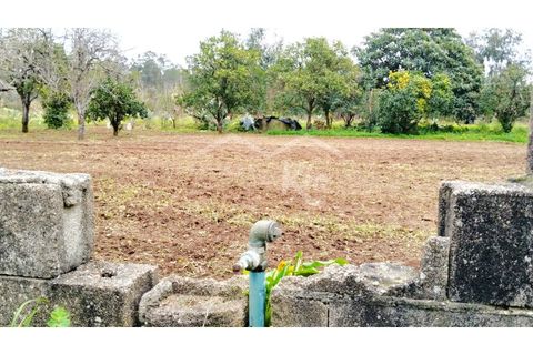 Terra em Arouca, Aveiro, Arouca - € 49.000 | Ref: CRAF1026 - foto 6