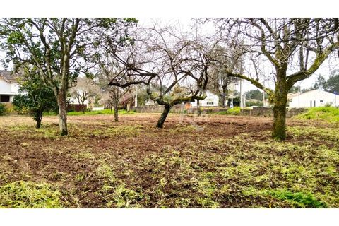 Terra em Arouca, Aveiro, Arouca - € 49.000 | Ref: CRAF1026 - foto 7