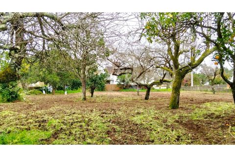 Terra em Arouca, Aveiro, Arouca - € 49.000 | Ref: CRAF1026 - foto 8