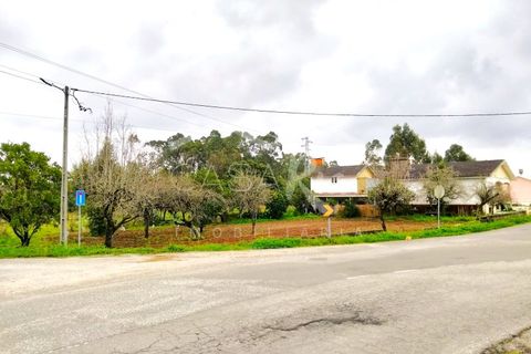 Terra em Arouca, Aveiro, Arouca - € 49.000 | Ref: CRAF1026 - foto 9