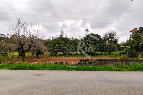 Terra em Arouca, Aveiro, Arouca - € 49.000 | Ref: CRAF1026 - foto 10