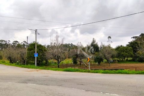 Terra em Arouca, Aveiro, Arouca - € 49.000 | Ref: CRAF1026 - foto 11