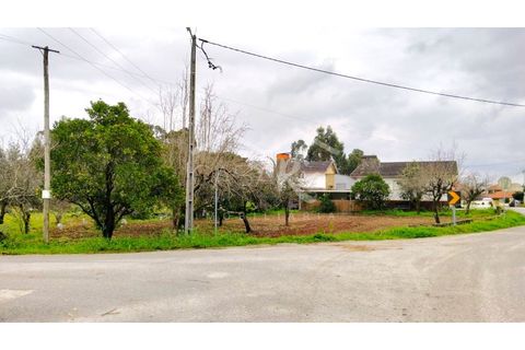 Terra em Arouca, Aveiro, Arouca - € 49.000 | Ref: CRAF1026 - foto 12