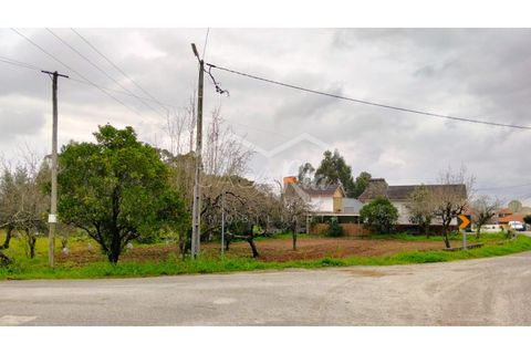 Terra em Arouca, Aveiro, Arouca - € 49.000 | Ref: CRAF1026 - foto 13