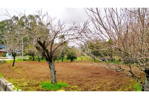 Terra em Arouca, Aveiro, Arouca - € 49.000 | Ref: CRAF1026 - foto 19