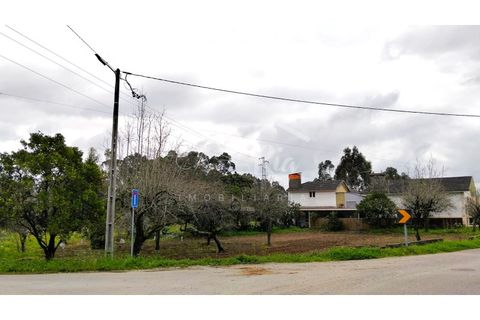 Terra em Arouca, Aveiro, Arouca - € 49.000 | Ref: CRAF1026 - foto 20