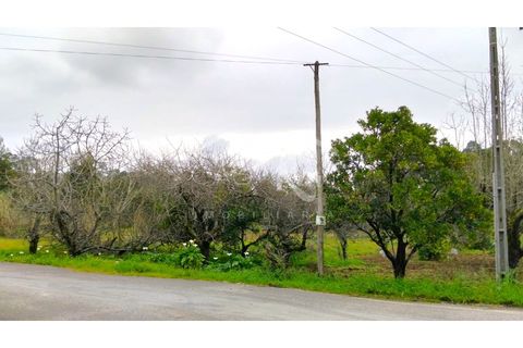 Terra em Arouca, Aveiro, Arouca - € 49.000 | Ref: CRAF1026 - foto 21