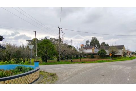 Terra em Arouca, Aveiro, Arouca - € 49.000 | Ref: CRAF1026 - foto 22