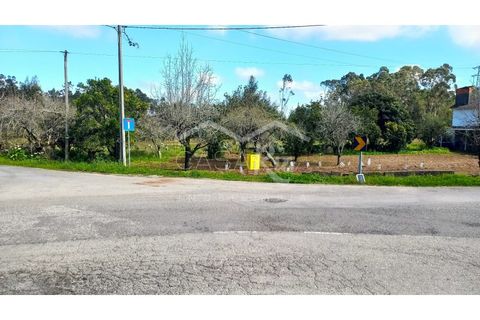 Terra em Arouca, Aveiro, Arouca - € 49.000 | Ref: CRAF1026 - foto 24