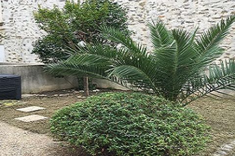 Villa a Carcassonne, Aude, Carcassonne - € 740/mes | Ref: 4639 - foto 2