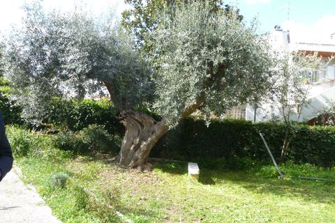Villa i Termoli, Campobasso, Termoli - € 255.000 | Ref: F738 - foto 4