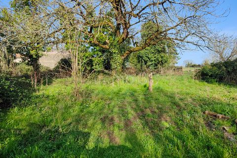 Landejendom i Chaunay, Vienne, Chaunay - € 77.490 | Ref: 5255 - foto 24