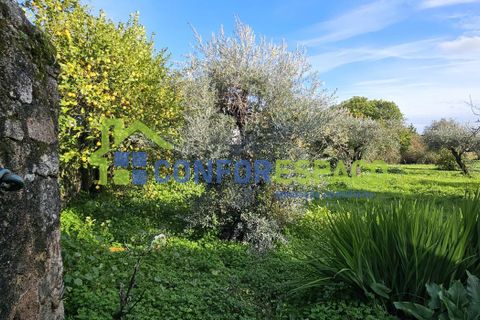 Landejendom i Castelo Branco, Castelo Branco, Castelo Branco - € 290.000 | Ref: 26020 - foto 1