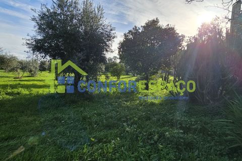 Landejendom i Castelo Branco, Castelo Branco, Castelo Branco - € 290.000 | Ref: 26020 - foto 2