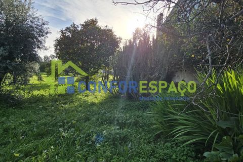 Landejendom i Castelo Branco, Castelo Branco, Castelo Branco - € 290.000 | Ref: 26020 - foto 3
