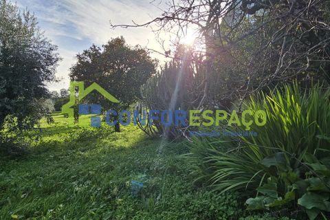 Landejendom i Castelo Branco, Castelo Branco, Castelo Branco - € 290.000 | Ref: 26020 - foto 4