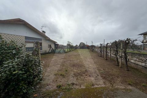 Villa i Branca, Aveiro, Branca - € 310.000 | Ref: 1012464/26 GL - foto 17