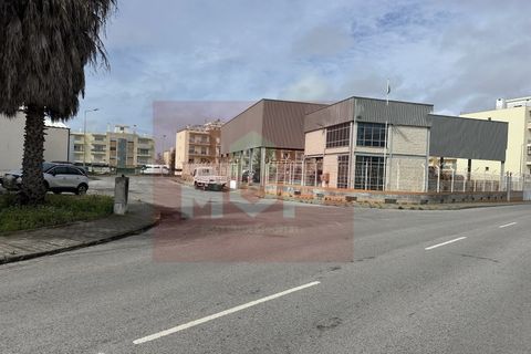 Erhvervsejendom i Quelfes, Faro, Quelfes - € 1.600.000 | Ref: 165260019 - foto 4