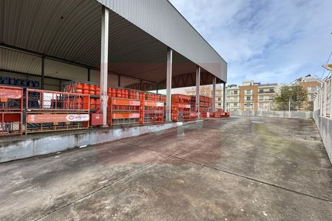 Erhvervsejendom i Quelfes, Faro, Quelfes - € 1.600.000 | Ref: 165260019 - foto 15
