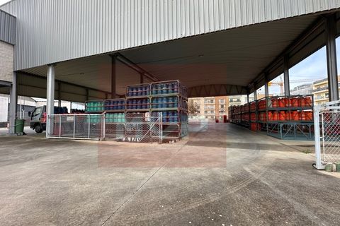 Erhvervsejendom i Quelfes, Faro, Quelfes - € 1.600.000 | Ref: 165260019 - foto 17