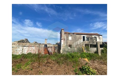 Terra a Folgosa, Porto, Folgosa - € 170.000 | Ref: 5923 - foto 7