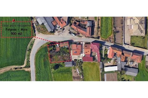 Terra a Folgosa, Porto, Folgosa - € 170.000 | Ref: 5923 - foto 3