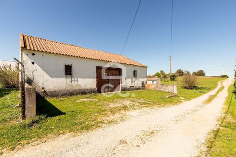 Helårsgrund i Evora, Evora, Evora - € 350.000 | Ref: 318/T/03788 - foto 3