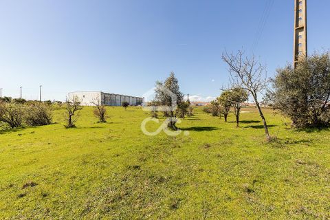 Helårsgrund i Evora, Evora, Evora - € 350.000 | Ref: 318/T/03788 - foto 4