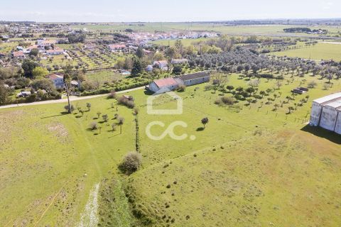 Helårsgrund i Evora, Evora, Evora - € 350.000 | Ref: 318/T/03788 - foto 34