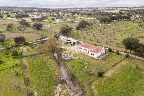 Farm hus i Evora, Evora, Evora - € 360.000 | Ref: 318/Q/03790 - foto 28