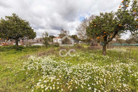 Farm hus i Evora, Evora, Evora - € 360.000 | Ref: 318/Q/03790 - foto 29