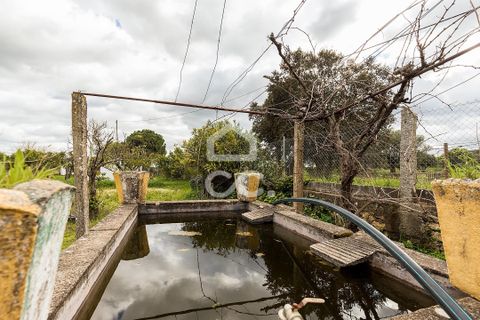 Farm hus i Evora, Evora, Evora - € 360.000 | Ref: 318/Q/03790 - foto 31