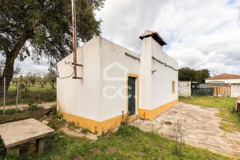 Farm hus i Evora, Evora, Evora - € 360.000 | Ref: 318/Q/03790 - foto 32