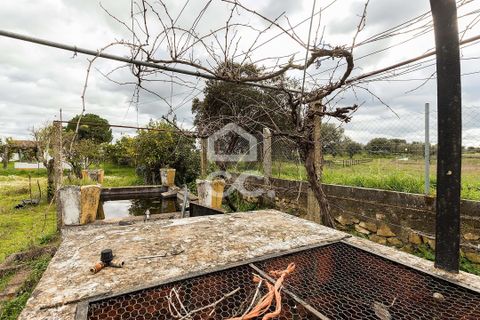 Farm hus i Evora, Evora, Evora - € 360.000 | Ref: 318/Q/03790 - foto 35