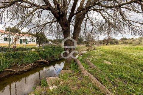 Farm hus i Evora, Evora, Evora - € 360.000 | Ref: 318/Q/03790 - foto 36