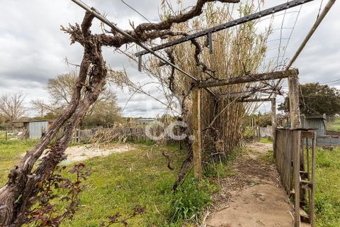 Farm hus i Evora, Evora, Evora - € 360.000 | Ref: 318/Q/03790 - foto 37