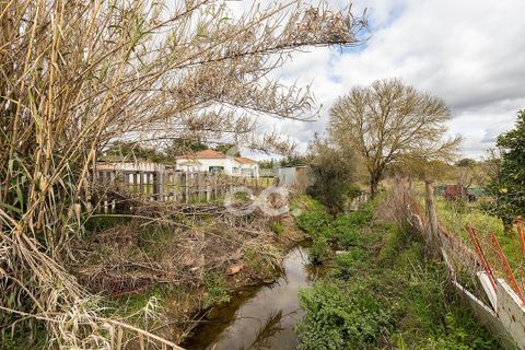 Farm hus i Evora, Evora, Evora - € 360.000 | Ref: 318/Q/03790 - foto 38