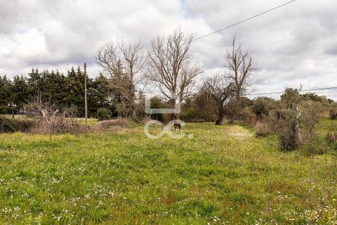 Farm hus i Evora, Evora, Evora - € 360.000 | Ref: 318/Q/03790 - foto 39